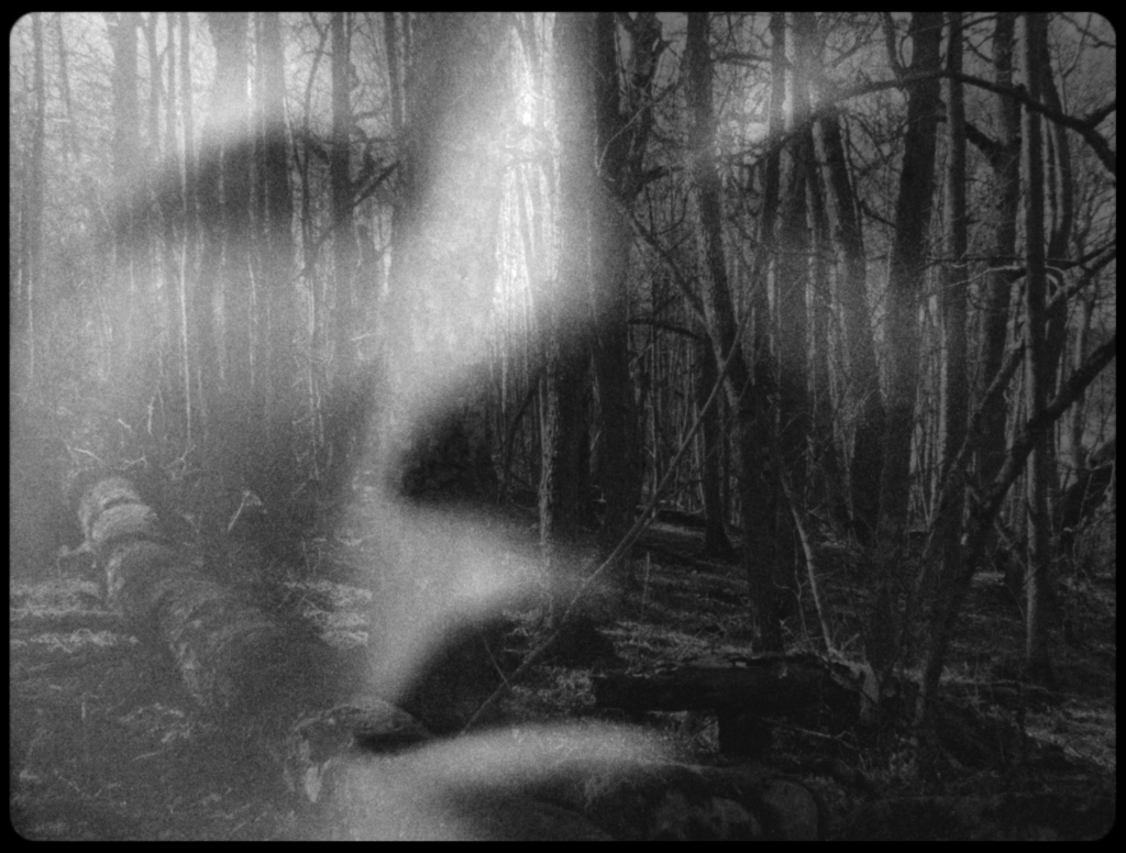 The black and white image shows a translucent mask with a forest and trees behind it.